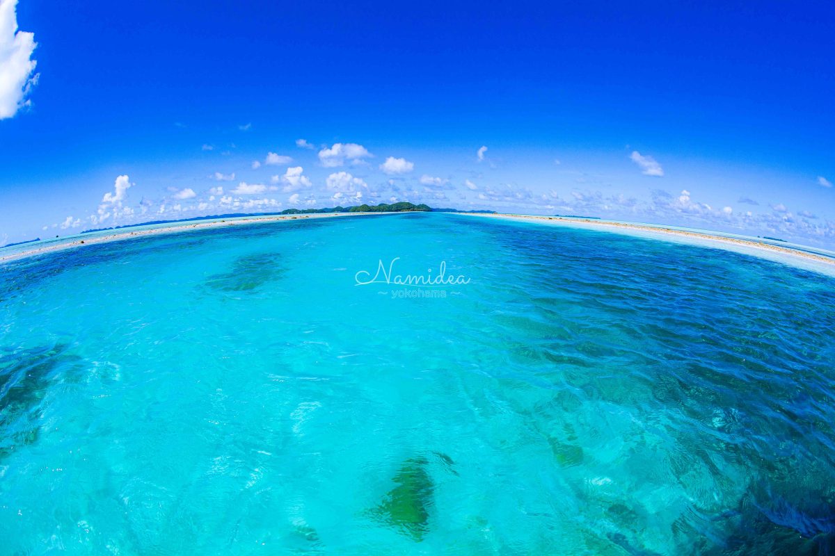 Namidea 本日も快晴！