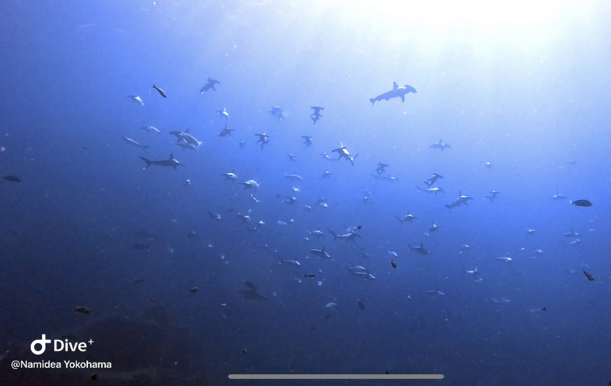 Namidea 関東地方も梅雨明け!