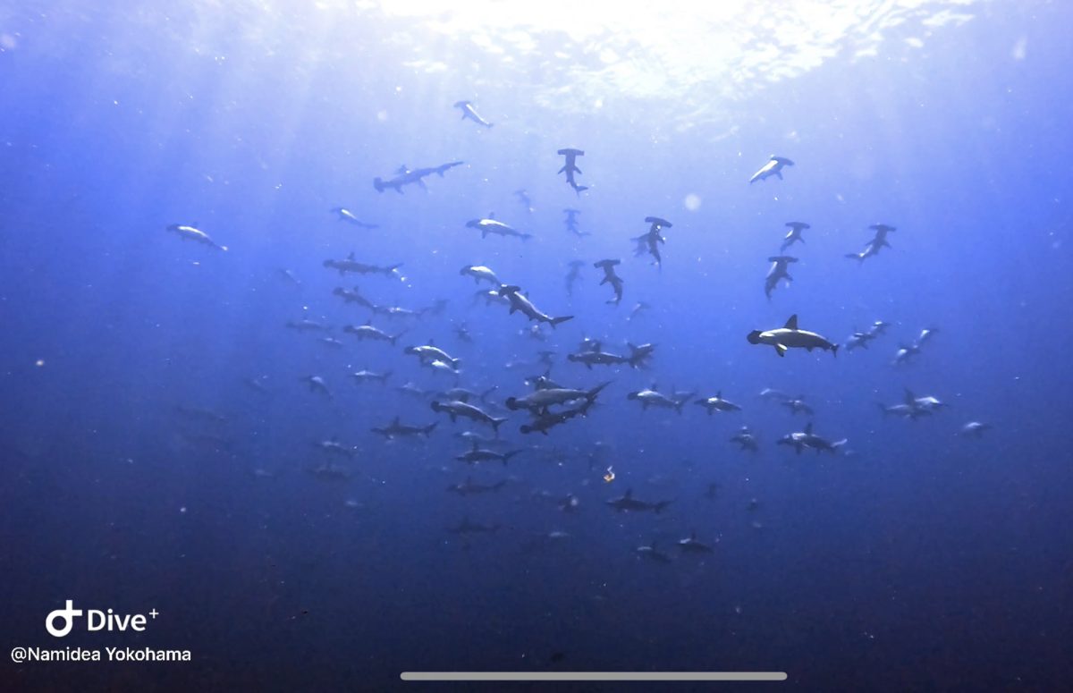 押切JAPAN🇯🇵まだまだ確変中！