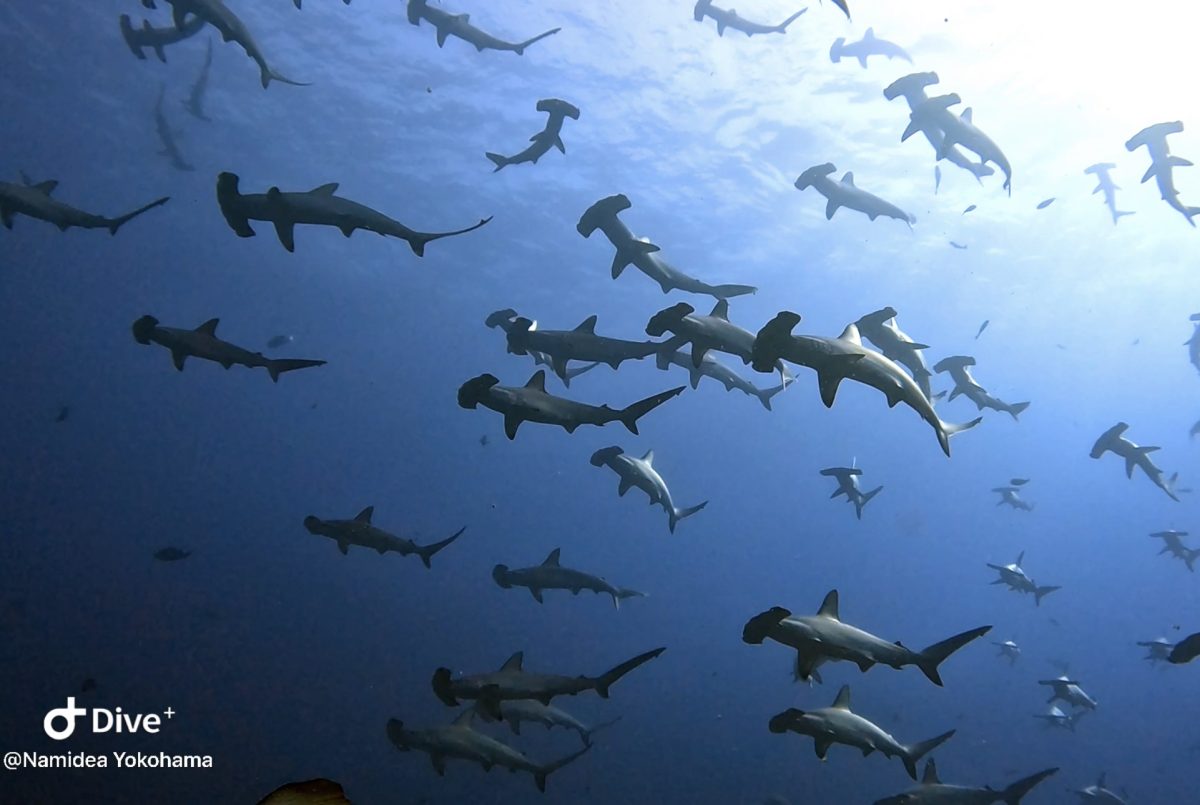 押切JAPAN🇯🇵まだまだ確変中！