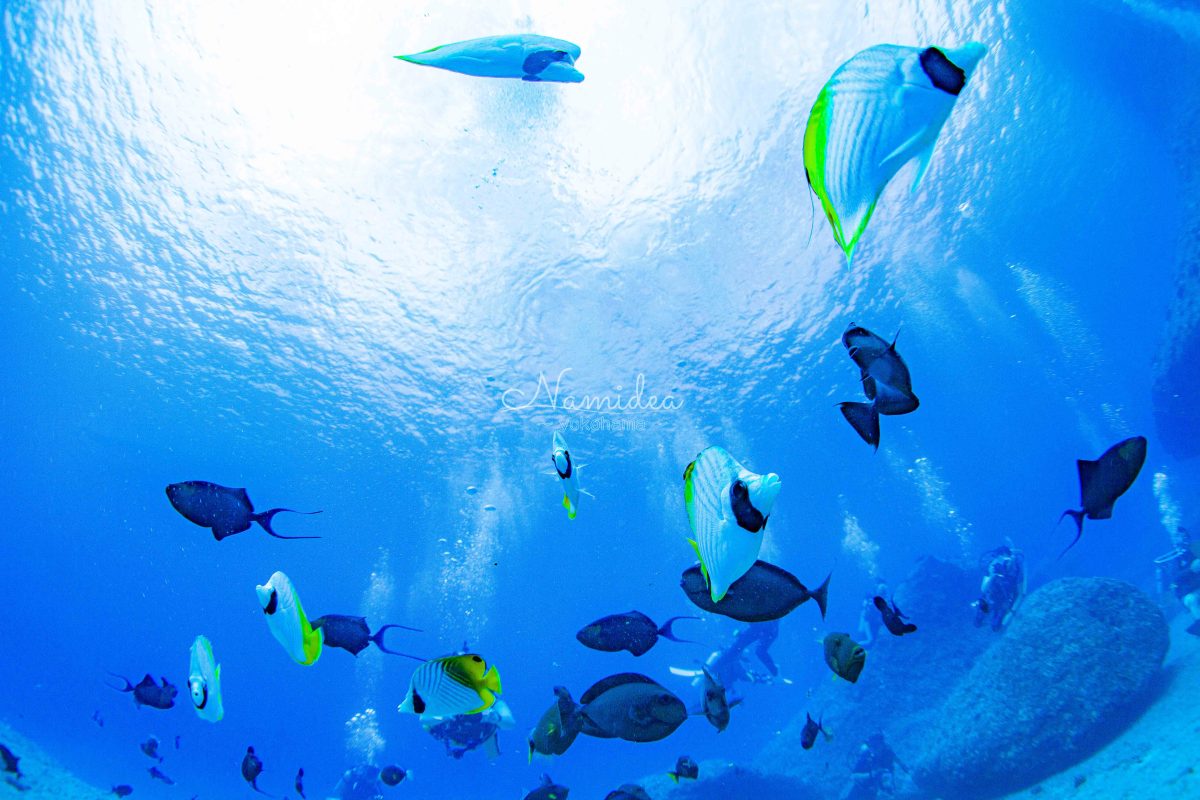 Namidea 快晴の週始まり！