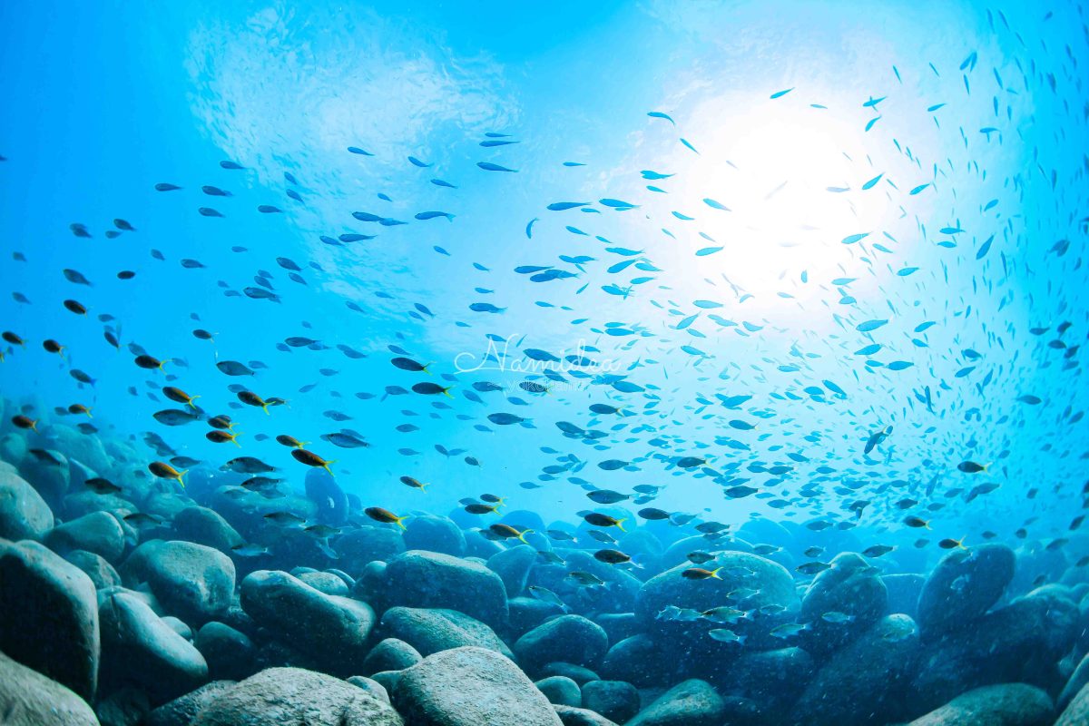 Namidea 連休前の金曜日！