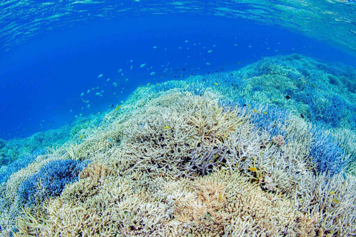 Namidea 連休明け！