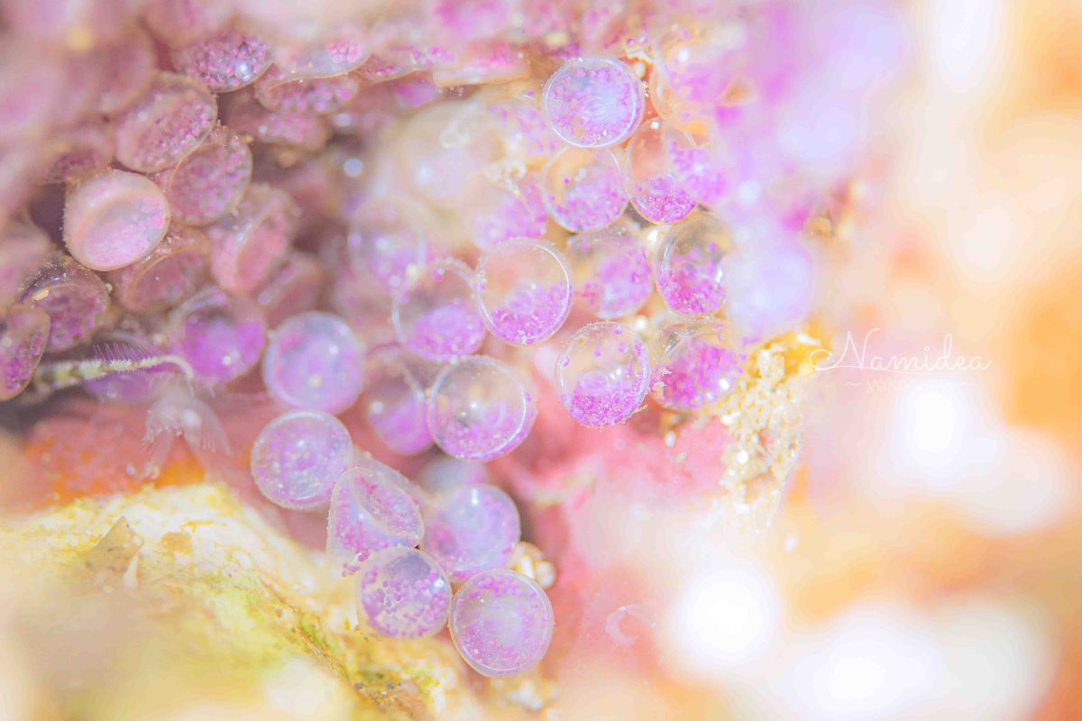 Namidea ポカポカ陽気の木曜日!