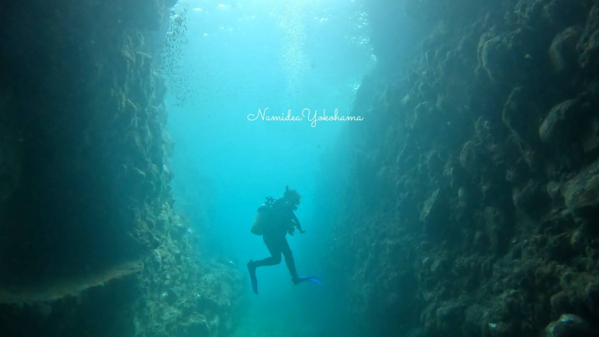 田子・小蝶アラシ