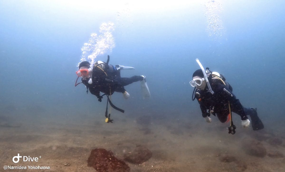 Namidea 夫婦ダイバー続々誕生！