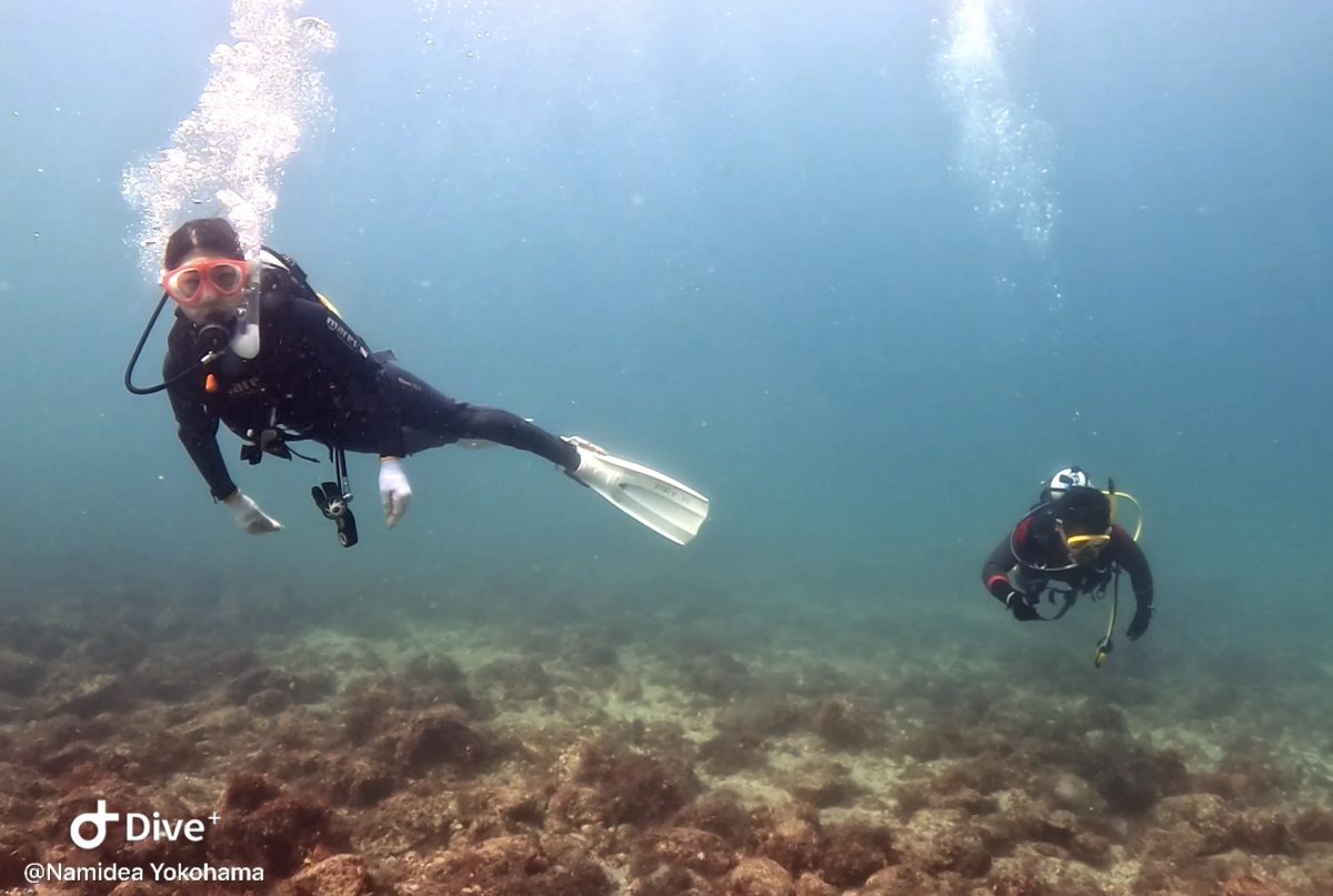 Namidea 夫婦ダイバー続々誕生！