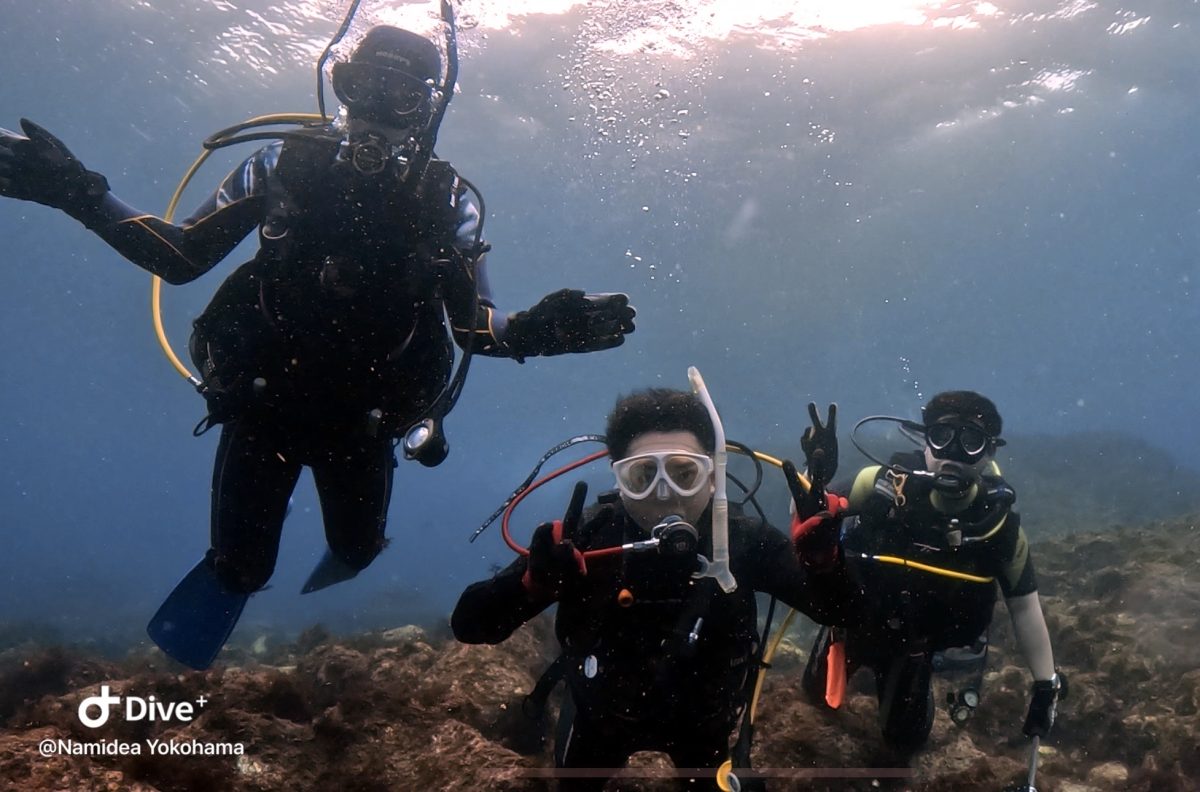 Namidea秋の平日大島!