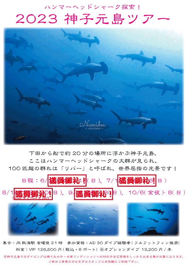 Namidea 押切JAPAN🇯🇵秋の陣スタート🦈🦈🦈
