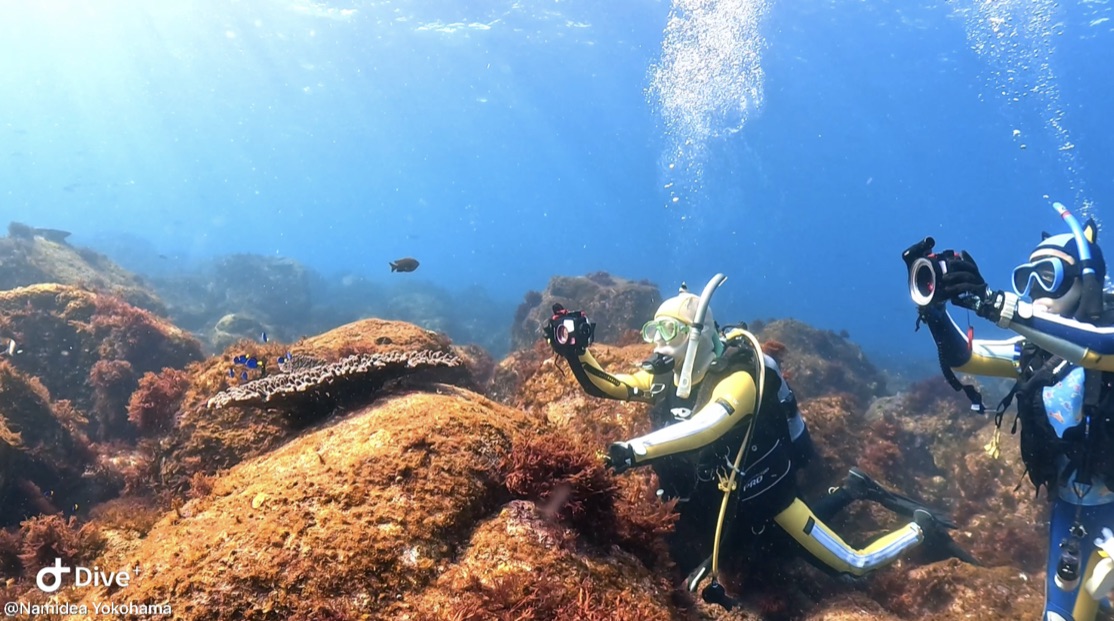 Namidea 大島400メモリアルダイブツアー!