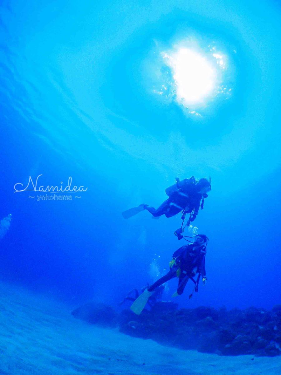 Namidea 秋晴れの週末！