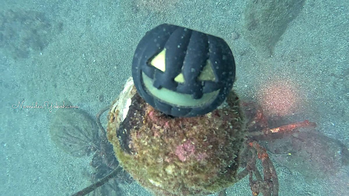 江之浦 水中Halloween
