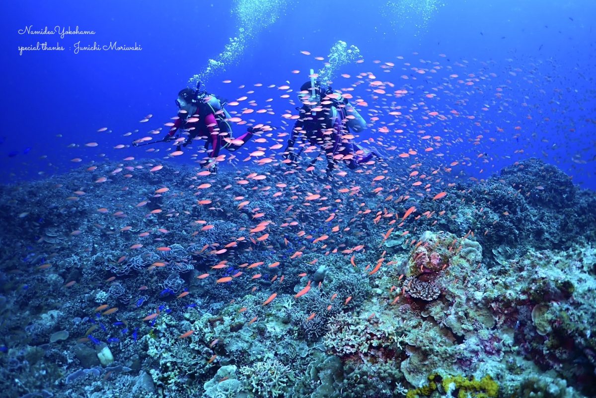 西表島ツアー(森脇さんPhoto)