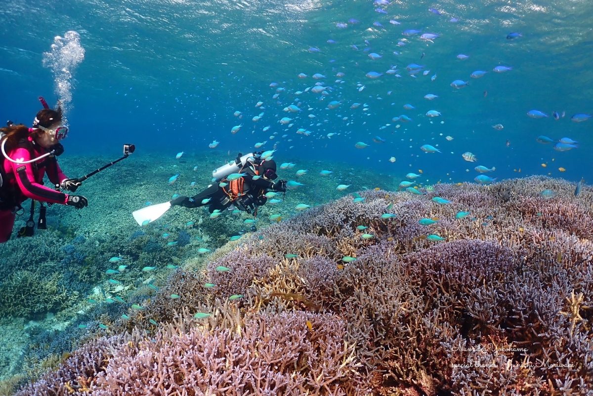 西表島ツアー(森脇さんPhoto)