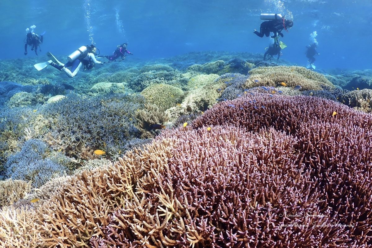 西表島ツアー(森脇さんPhoto)