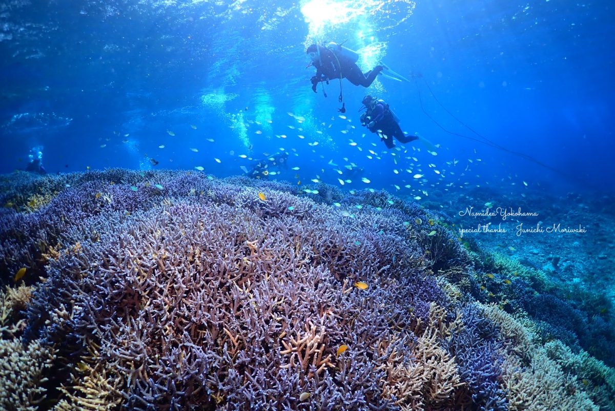 西表島ツアー(森脇さんPhoto)