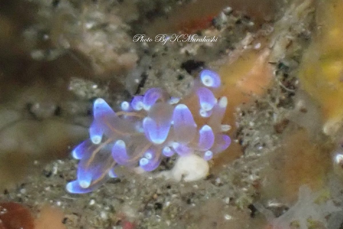 盛りだくさんの北川ボート!