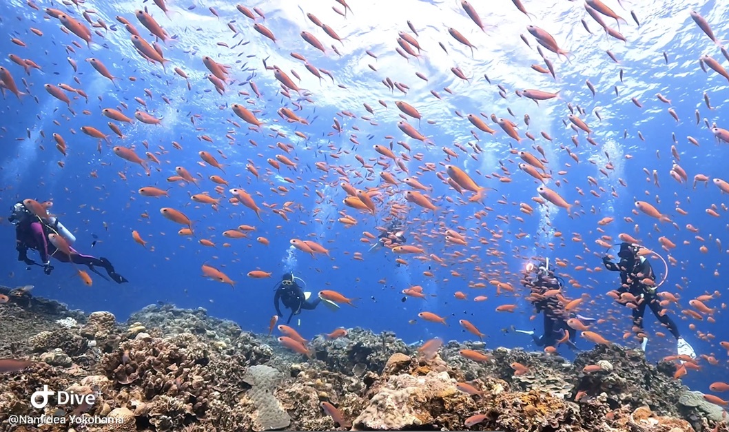 西表島・みんなとの思ひ出日記📖