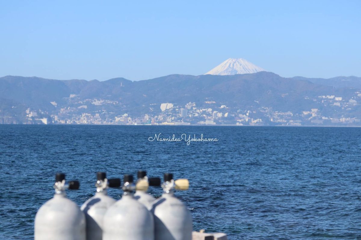 初島×富士山