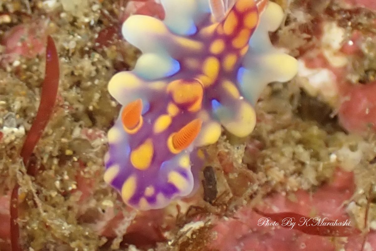 盛りだくさんの北川ボート!