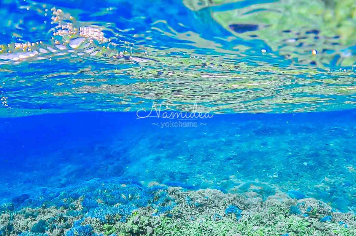 Namidea ブラックフライデースタート！