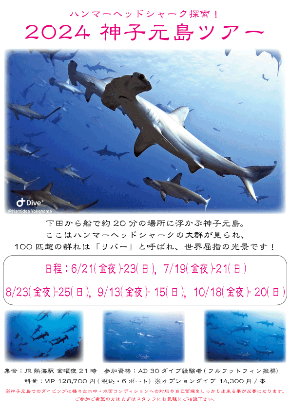 Namidea 2024年度神子元島ツアー開催決定!