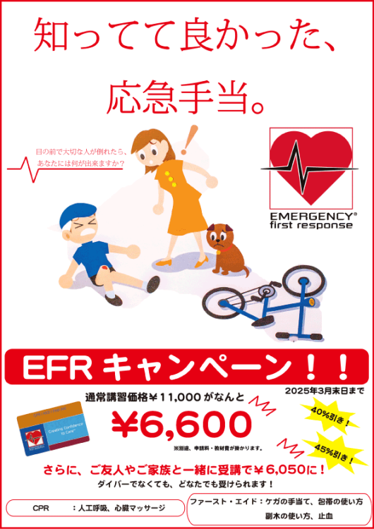 Namidea 2025年EFRキャンペーン!