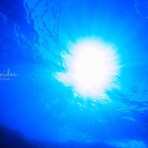 Namidea 2023年最終営業日！