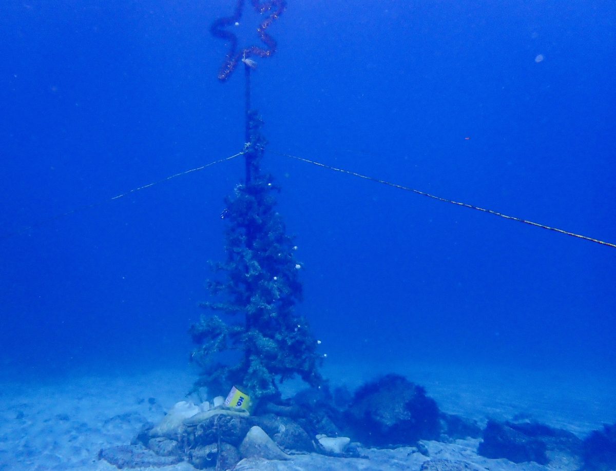 Namidea こちらも絶好調ヨコバマツアー!