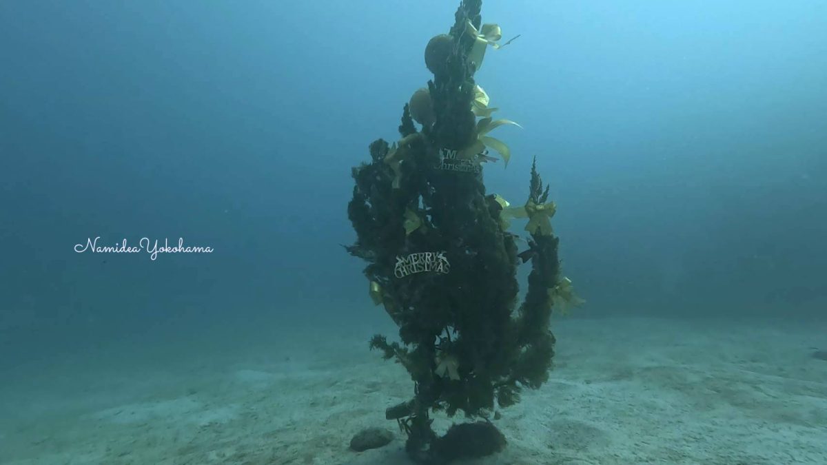 クリスマスツアー