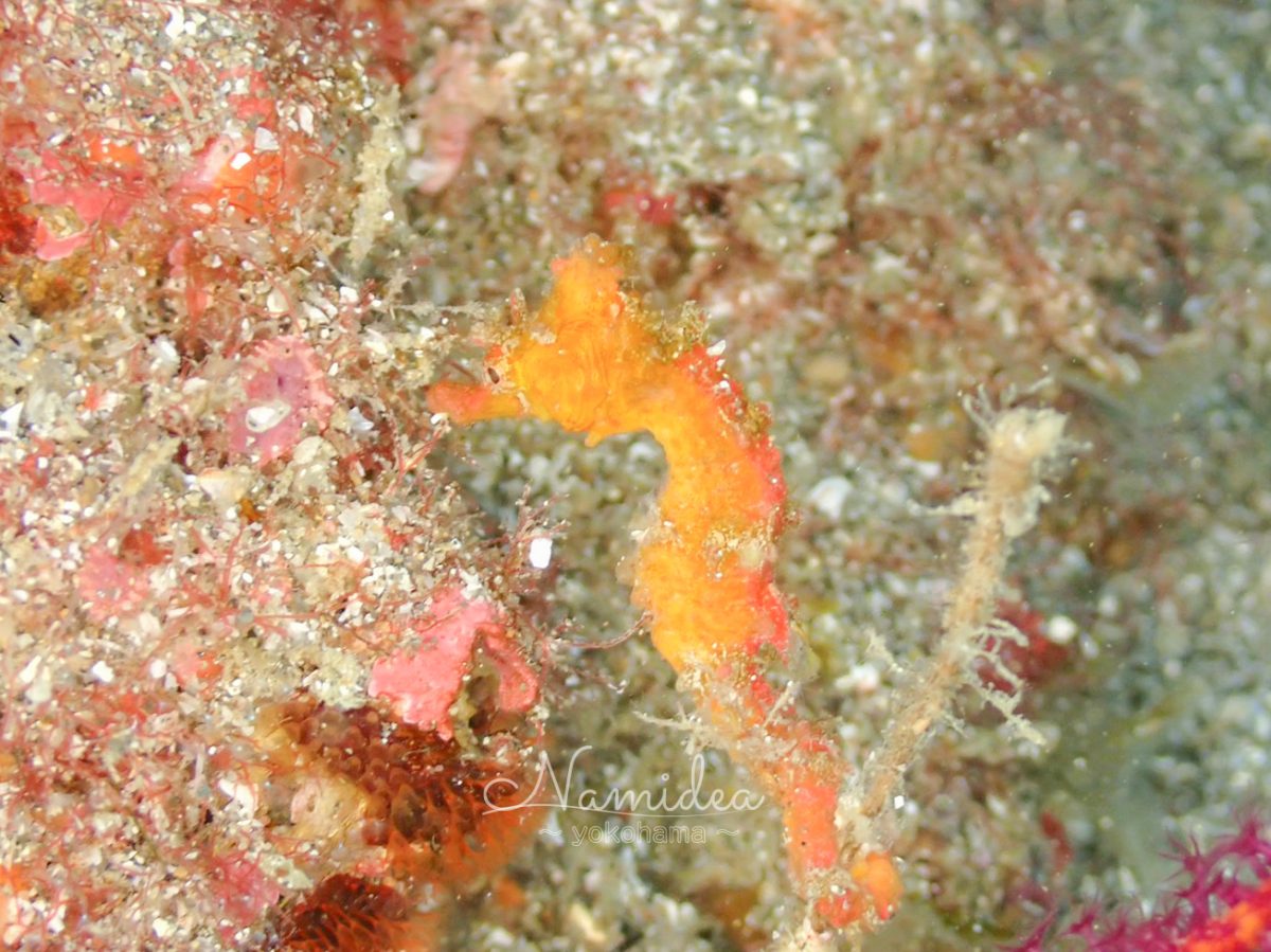 久しぶりのかっちゃまボート!