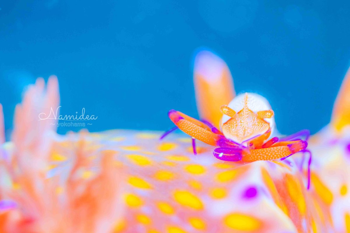 Namidea あっという間の華金！