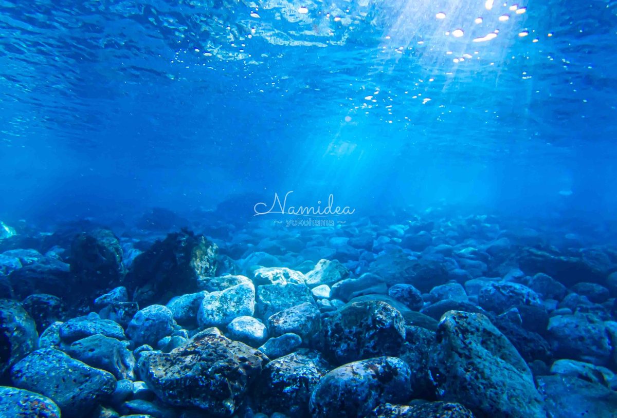 Namidea 快晴の水曜日！