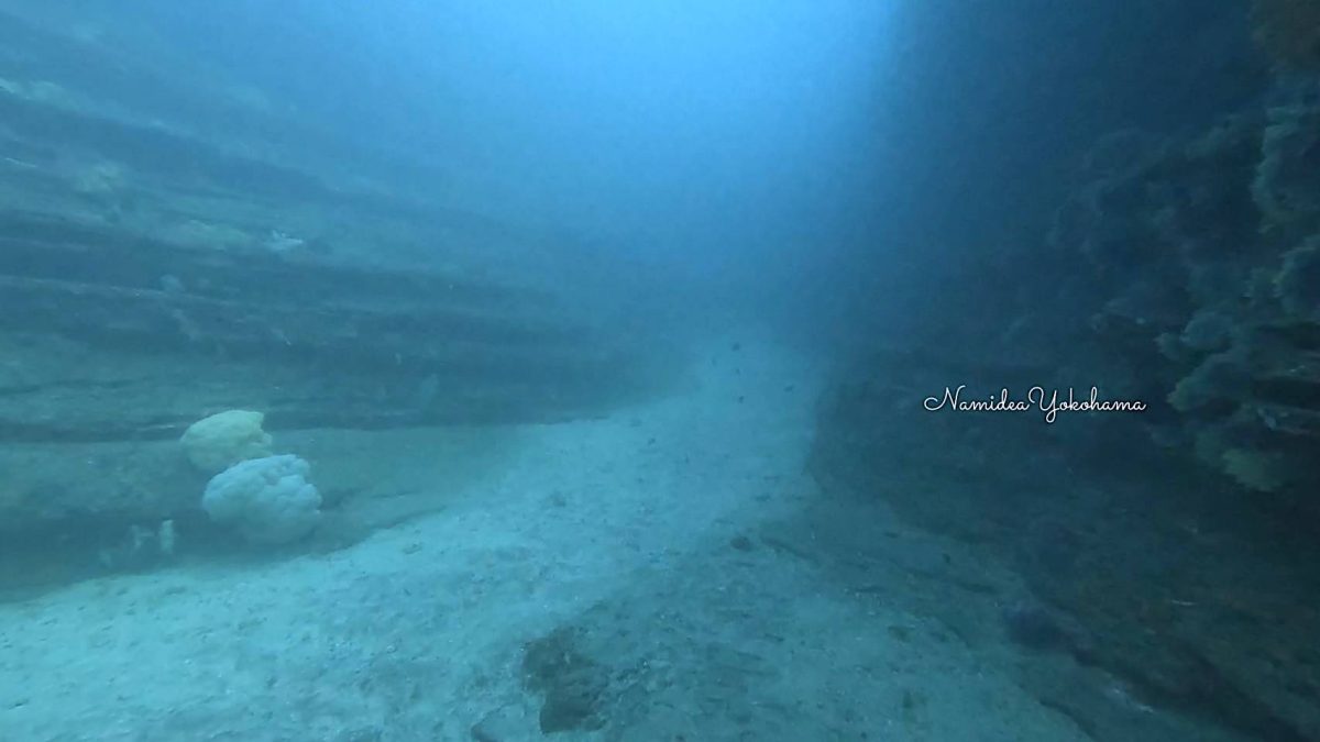 城ヶ島　クレバス