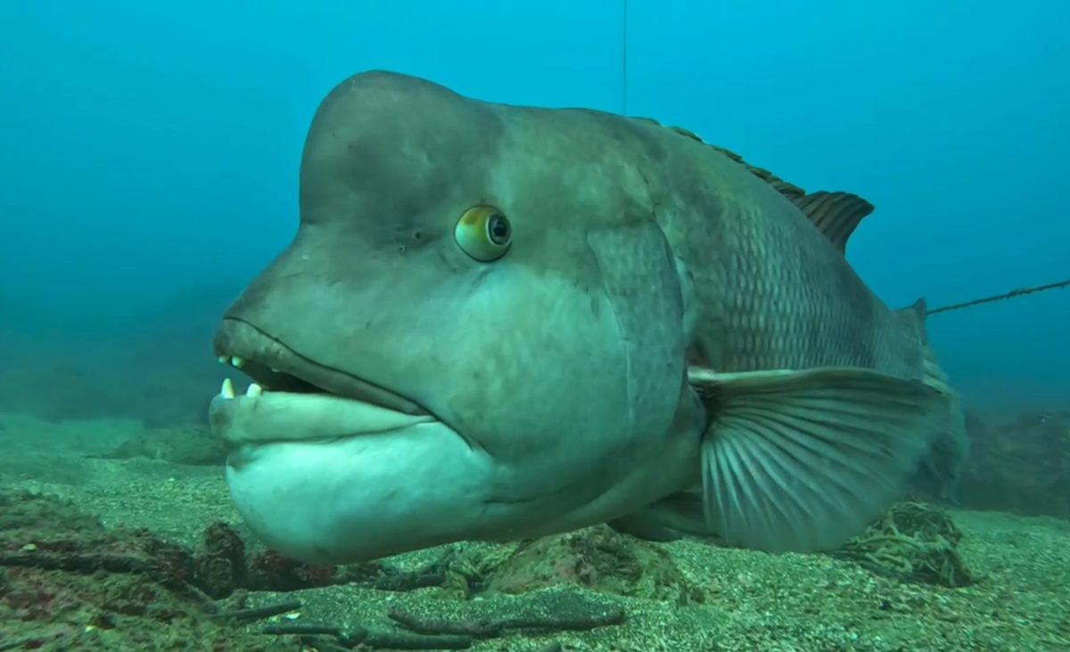 Namidea 江之浦ビーチでMyDRYデビューツアー!