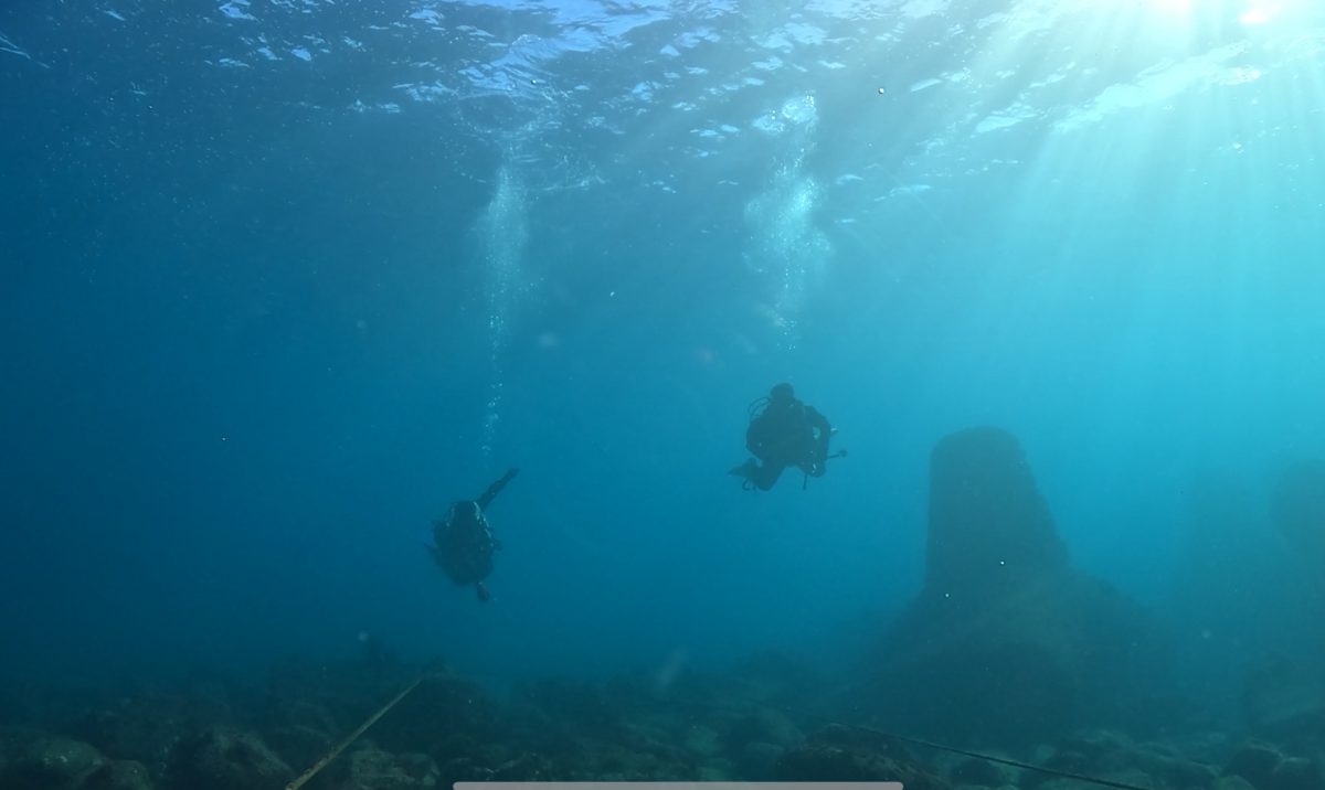 Namidea 江之浦ビーチでMyDRYデビューツアー!