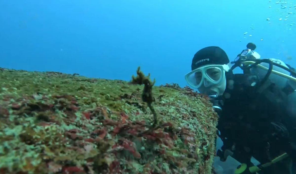 Namidea 江之浦ビーチでMyDRYデビューツアー!