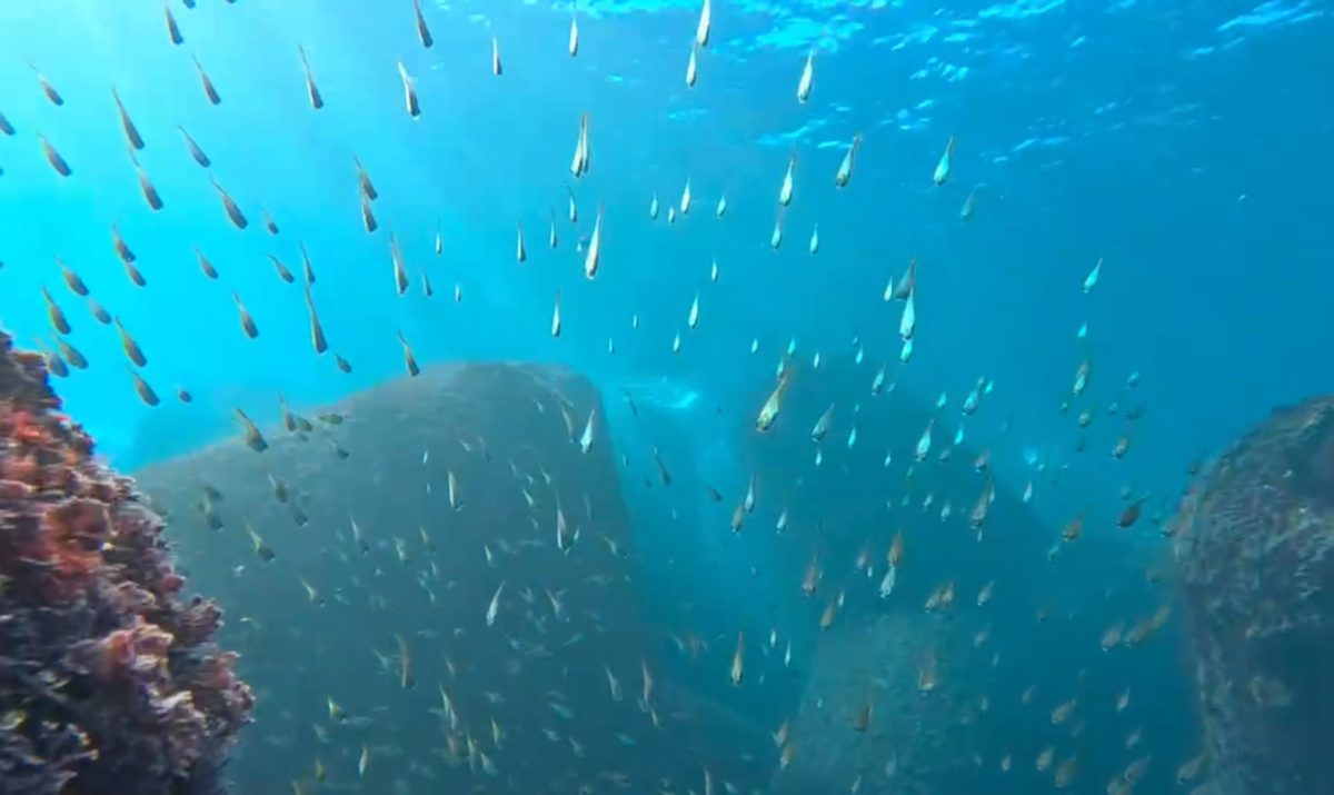 Namidea 江之浦ビーチでMyDRYデビューツアー!