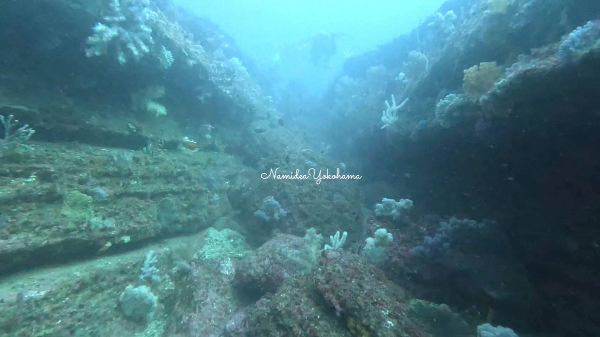 城ヶ島　ビッグクレバス