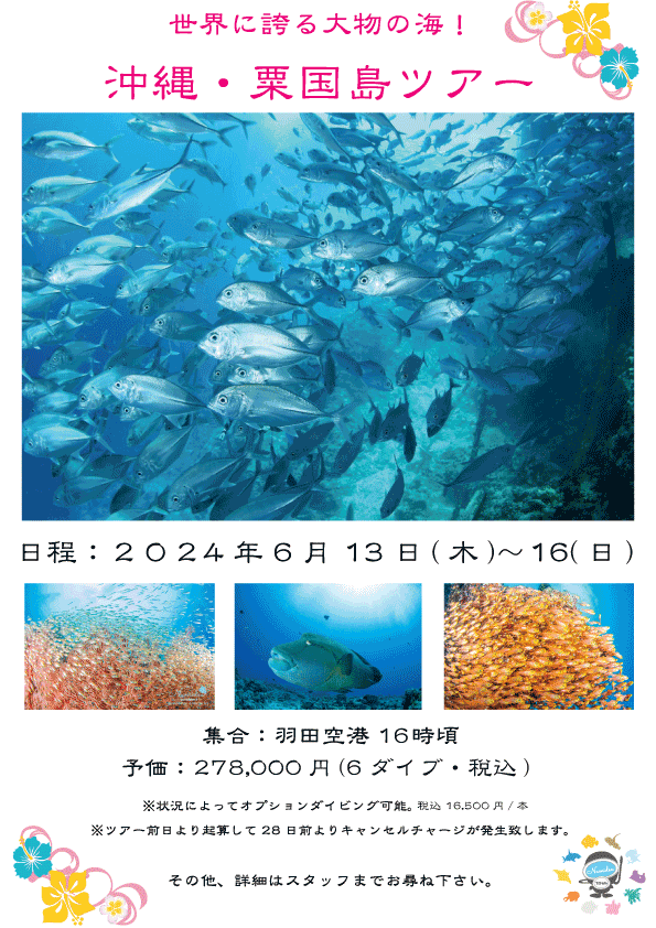 2024Namidea粟国島ツアー！