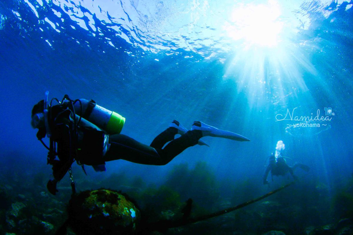 Namidea 春を感じる金曜日！