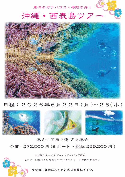 Namidea 2026西表島ツアー！