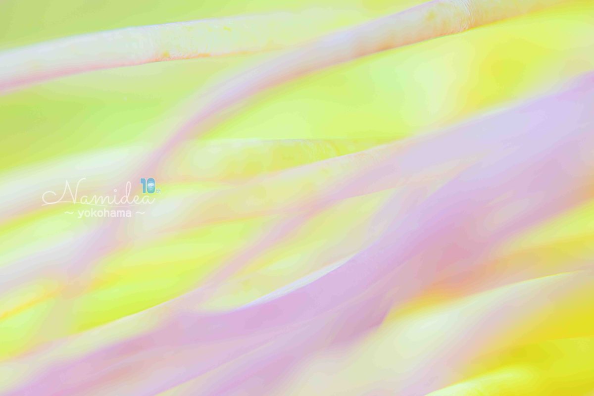 Namidea オッシー店長葉山へ行く🏃💨