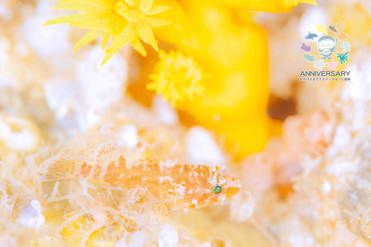 Namidea 雨の火曜日🌈