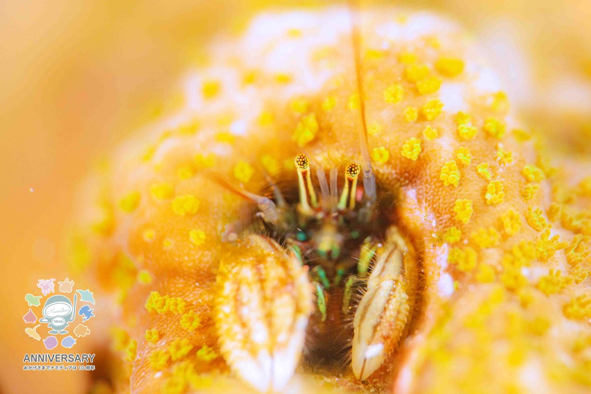 Namidea 快晴の木曜日！