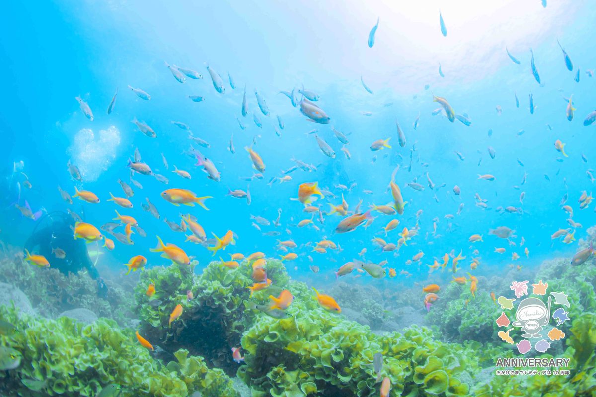 Namidea 野毛大道芸開催中🤡