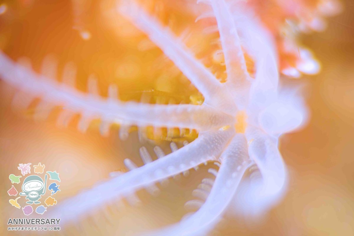 Namidea けいたちゃんのカメラ日記〜4月の浮島&北川編〜