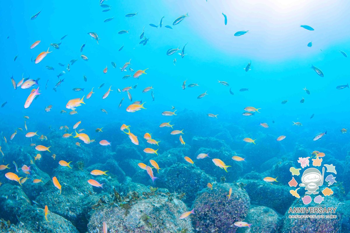 Namidea 久しぶりの快晴🌞