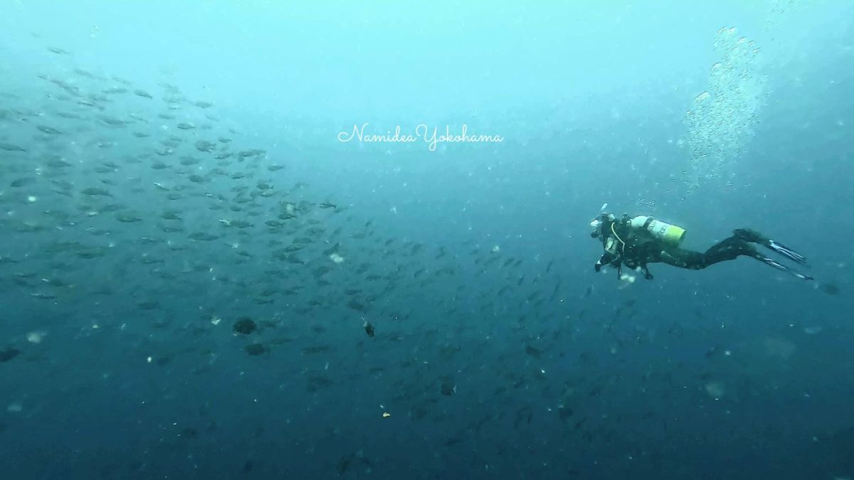 田子・沖の浮島根