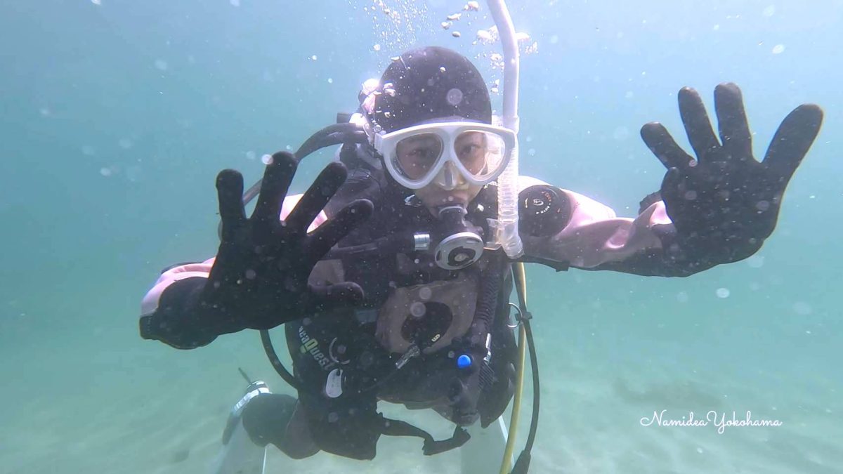 ライセンス講習